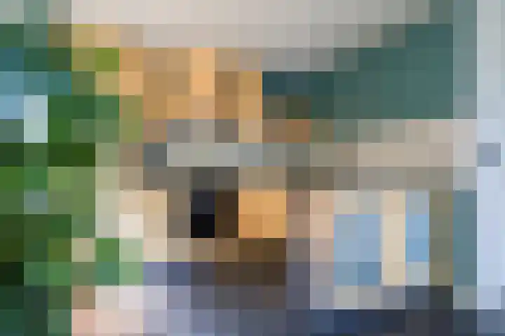 Koekoeksweg 14 Dwingeloo thumbnail 13