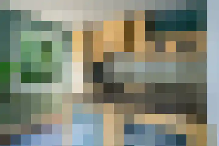 Koekoeksweg 14 Dwingeloo thumbnail 14