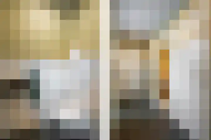 Koekoeksweg 14 Dwingeloo thumbnail 18