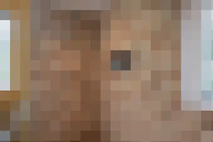 Koekoeksweg 14 Dwingeloo thumbnail 23