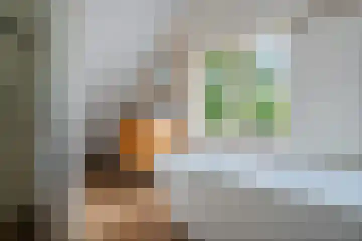 Koekoeksweg 14 Dwingeloo thumbnail 28