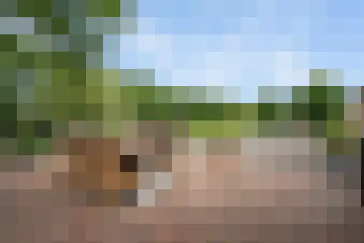 Koekoeksweg 14 Dwingeloo thumbnail 32