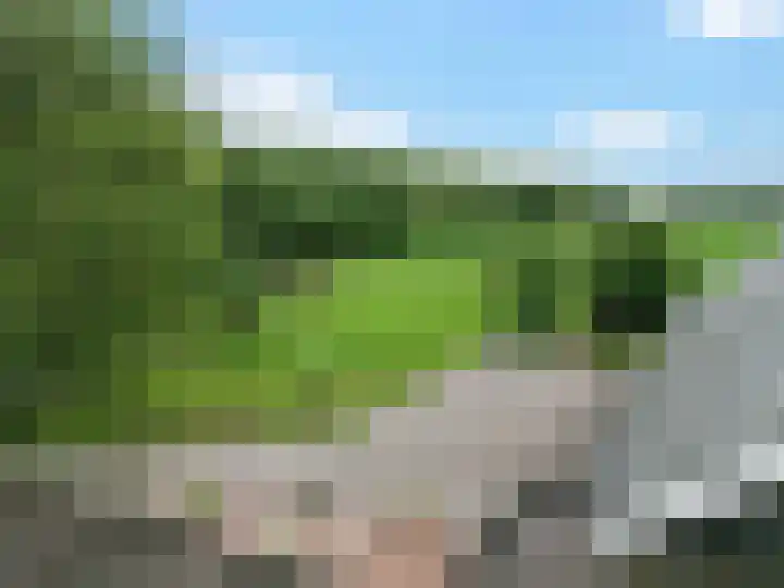 Koekoeksweg 14 Dwingeloo thumbnail 33