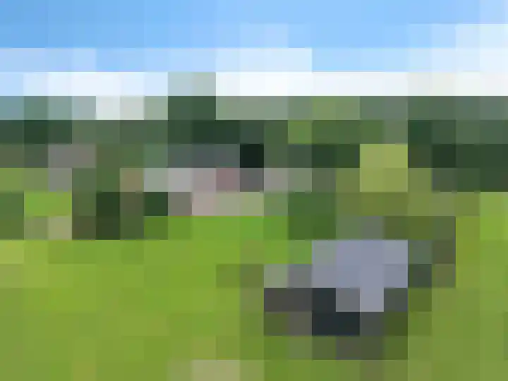 Koekoeksweg 14 Dwingeloo thumbnail 43