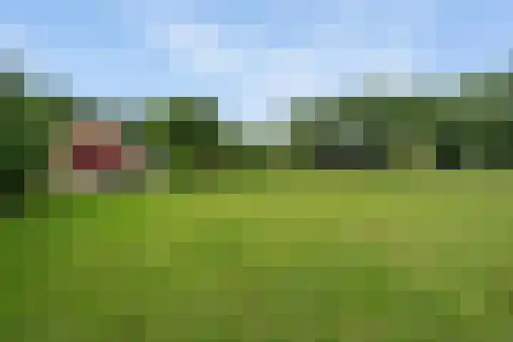 Koekoeksweg 14 Dwingeloo thumbnail 46