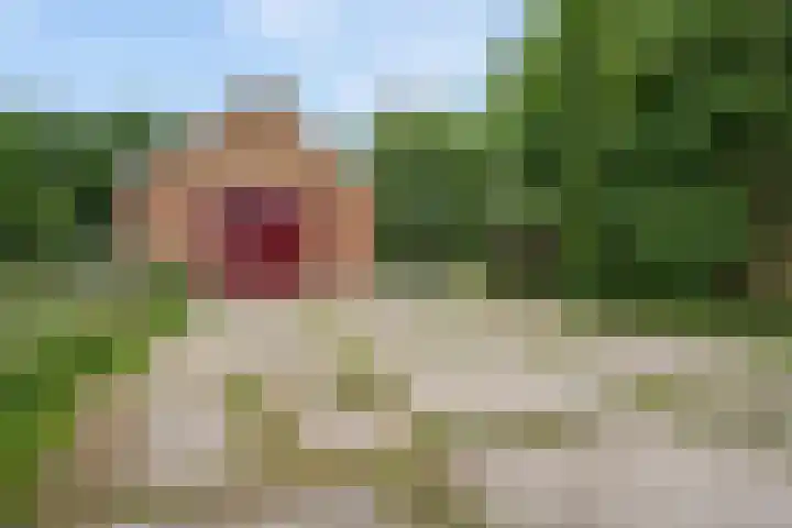Koekoeksweg 14 Dwingeloo thumbnail 47