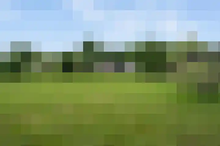 Koekoeksweg 14 Dwingeloo thumbnail 48