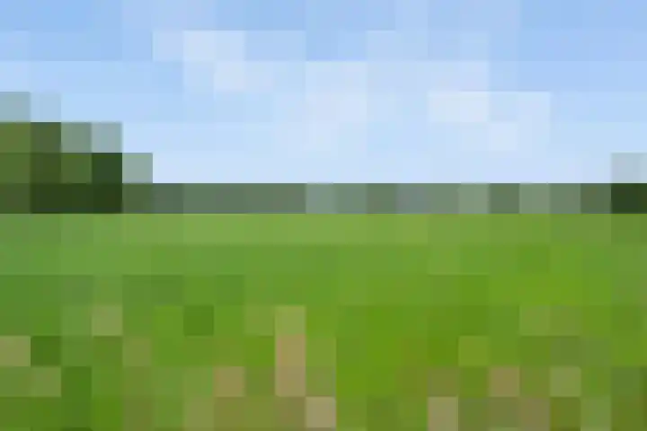Koekoeksweg 14 Dwingeloo thumbnail 49