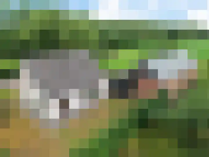 Koekoeksweg 14 Dwingeloo thumbnail 51