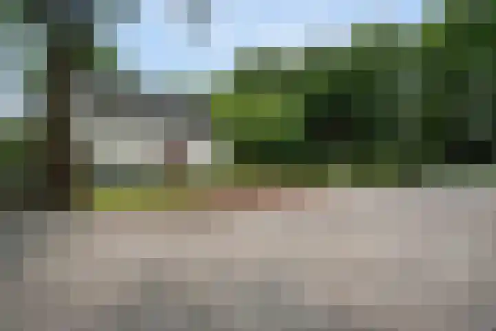Koekoeksweg 14 Dwingeloo thumbnail 55