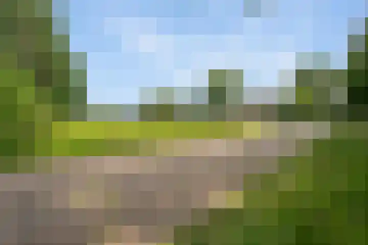Koekoeksweg 14 Dwingeloo thumbnail 57