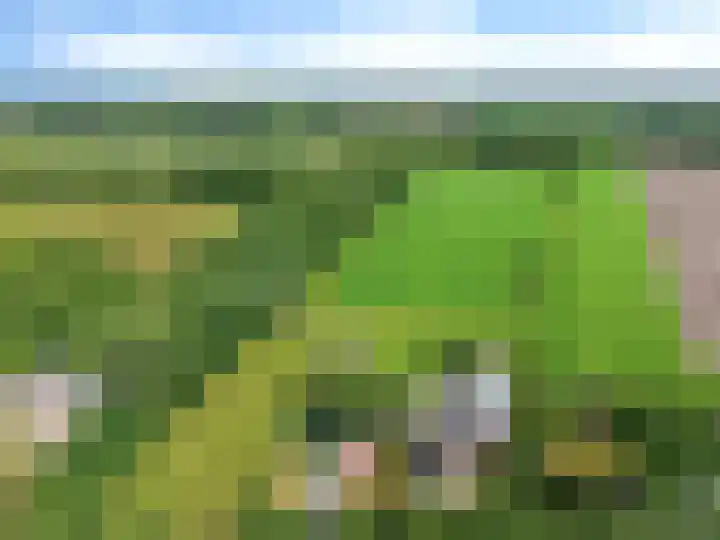 Koekoeksweg 14 Dwingeloo thumbnail 59