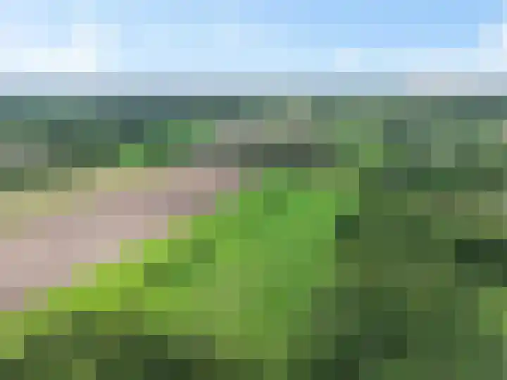 Koekoeksweg 14 Dwingeloo thumbnail 60