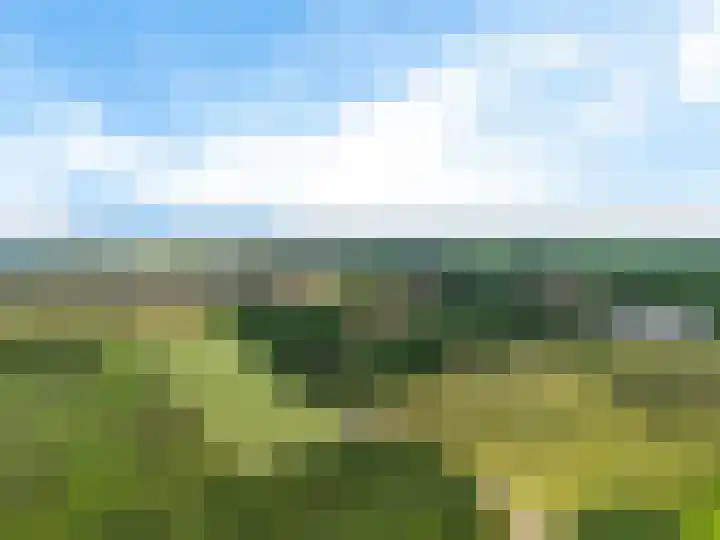 Koekoeksweg 14 Dwingeloo thumbnail 61