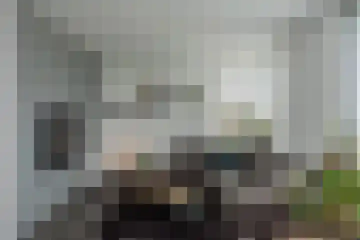 Koekoeksweg 15 't Harde thumbnail 10
