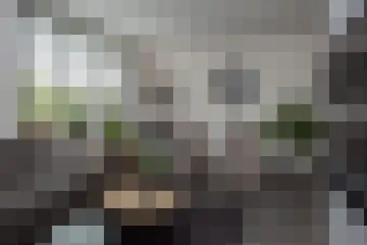 Koekoeksweg 15 't Harde thumbnail 11
