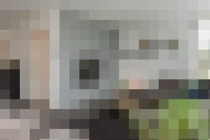 Koekoeksweg 15 't Harde thumbnail 12