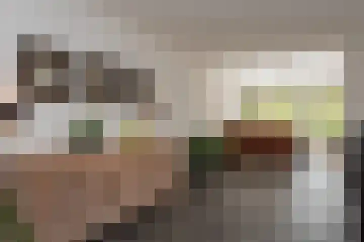 Koekoeksweg 15 't Harde thumbnail 14