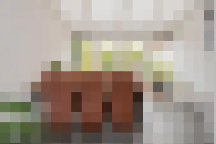 Koekoeksweg 15 't Harde thumbnail 16