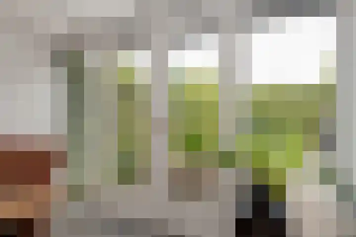 Koekoeksweg 15 't Harde thumbnail 17