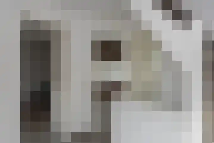 Koekoeksweg 15 't Harde thumbnail 25