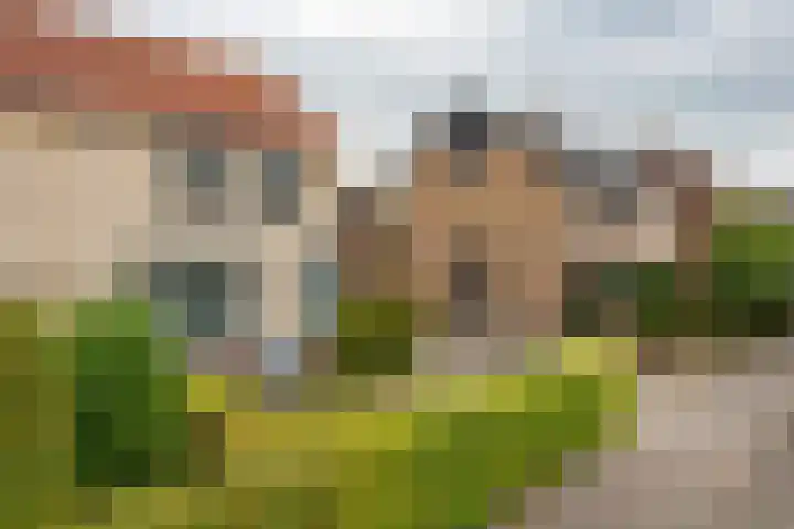 Koekoeksweg 15 't Harde foto 3