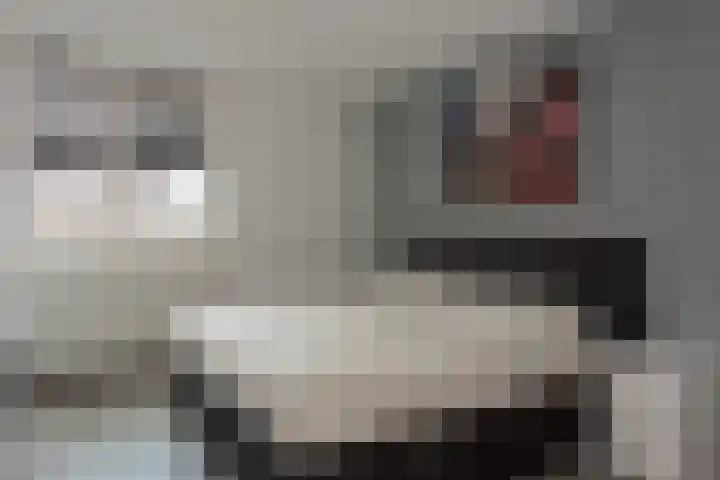 Koekoeksweg 15 't Harde thumbnail 31