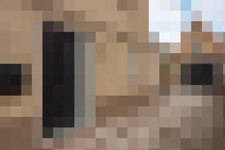 Koekoeksweg 15 't Harde thumbnail 4