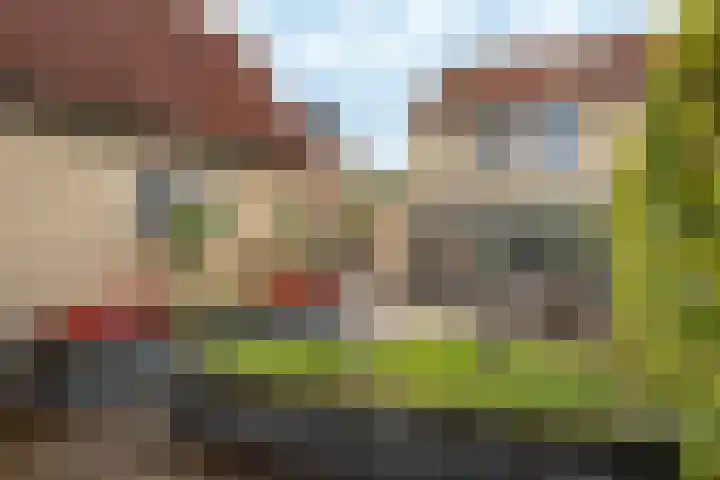 Koekoeksweg 15 't Harde thumbnail 41
