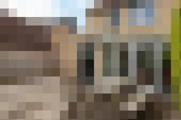 Koekoeksweg 15 't Harde thumbnail 42
