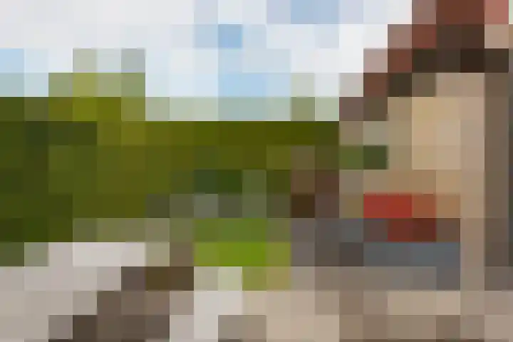Koekoeksweg 15 't Harde thumbnail 43