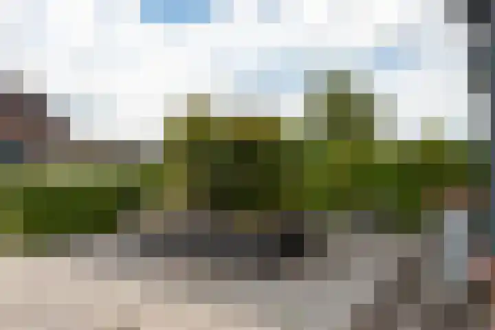 Koekoeksweg 15 't Harde thumbnail 49