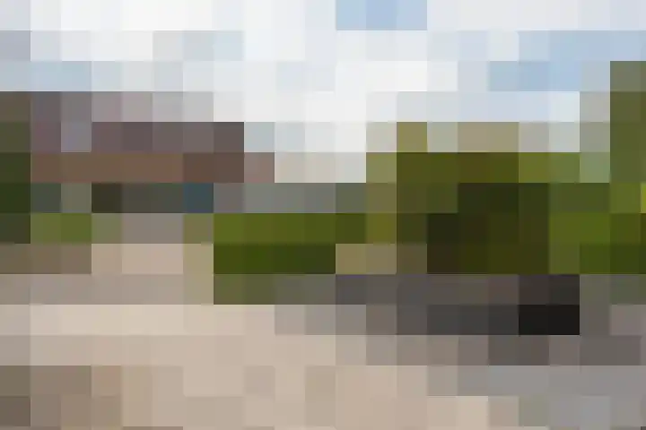 Koekoeksweg 15 't Harde thumbnail 50