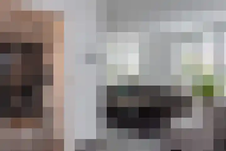Koekoeksweg 15 't Harde thumbnail 8