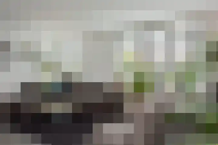 Koekoeksweg 15 't Harde thumbnail 9