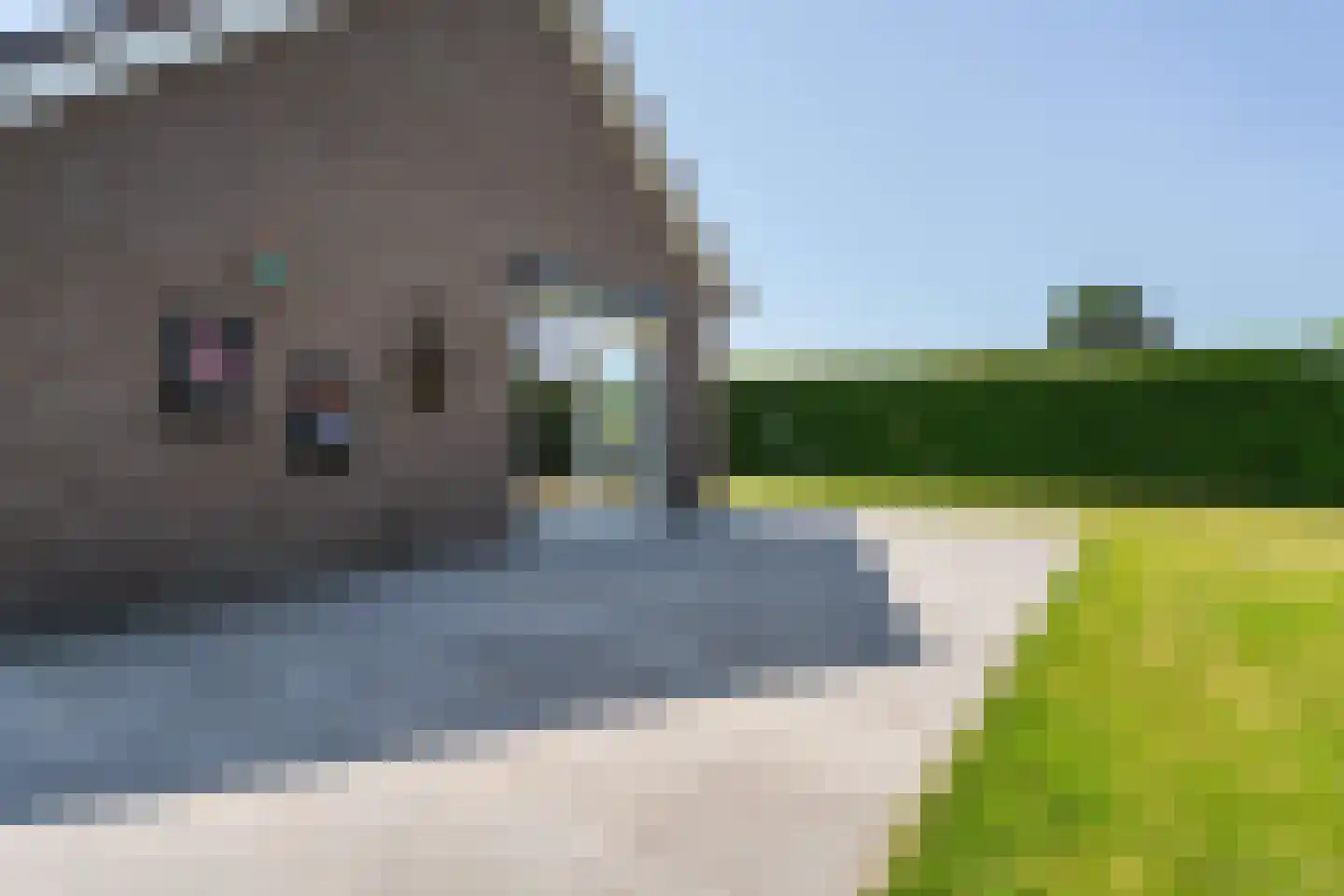 Koekoeksweg 19 Weert thumbnail 45