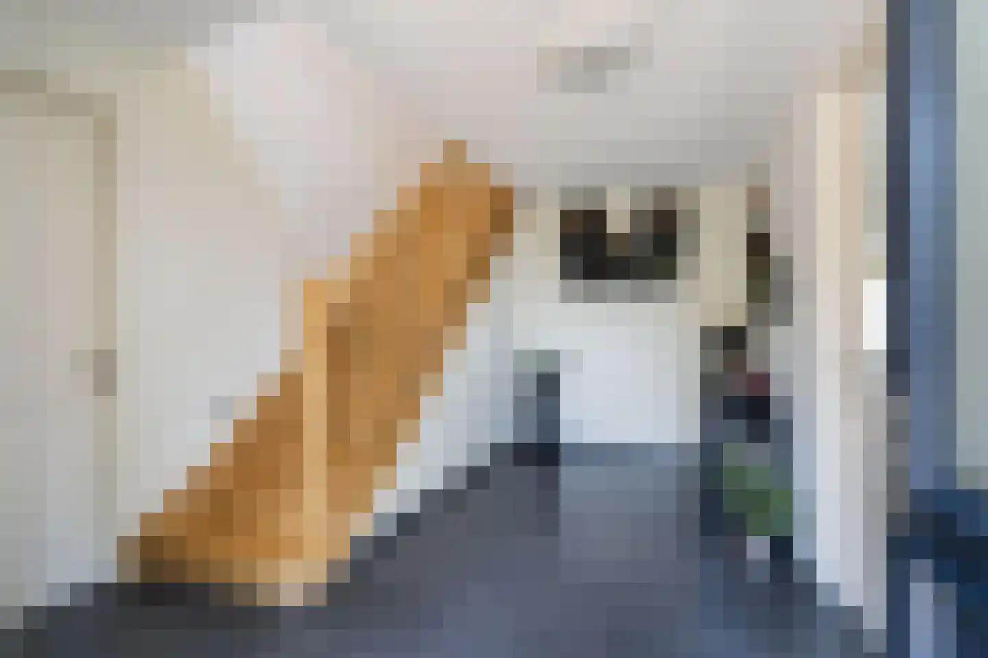 Koekoeksweg 19 Weert thumbnail 8