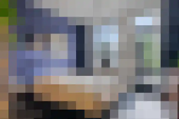 Koekoeksweg 3 Dwingeloo thumbnail 11