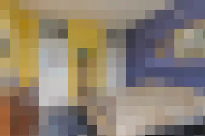 Koekoeksweg 3 Dwingeloo thumbnail 12