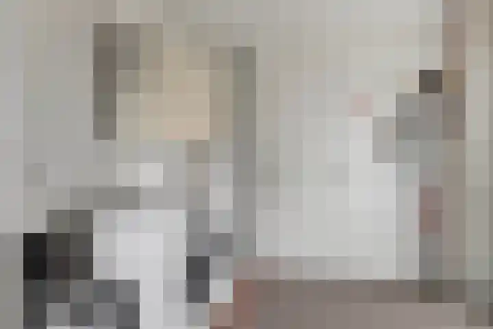 Koekoeksweg 3 Dwingeloo thumbnail 14