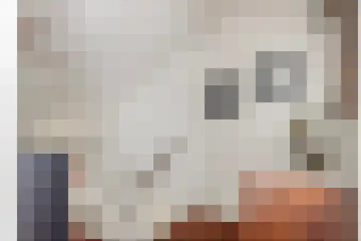 Koekoeksweg 3 Dwingeloo thumbnail 15