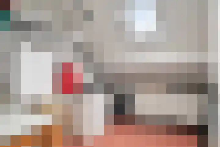 Koekoeksweg 3 Dwingeloo thumbnail 18