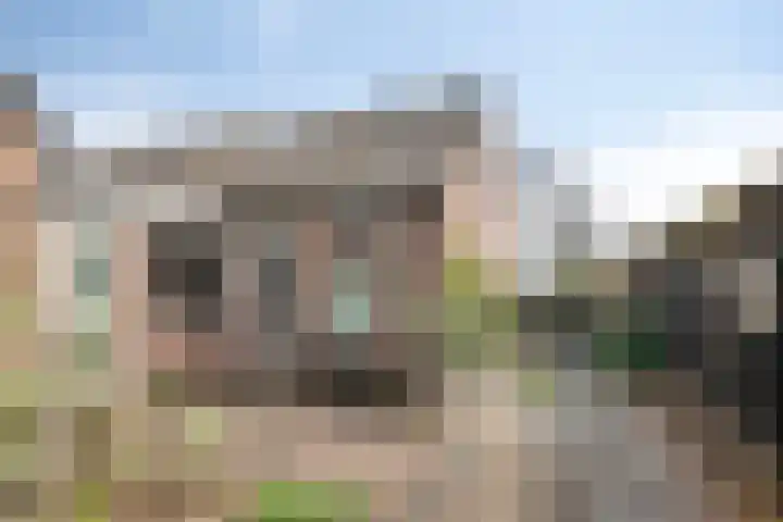 Koekoeksweg 3 Dwingeloo foto 2