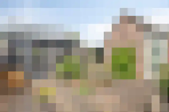 Koekoeksweg 3 Dwingeloo thumbnail 20