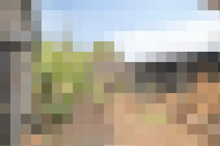 Koekoeksweg 3 Dwingeloo thumbnail 21