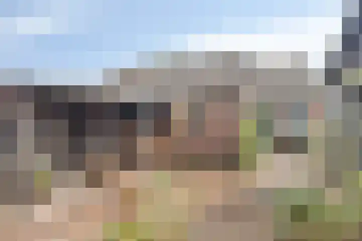 Koekoeksweg 3 Dwingeloo thumbnail 22