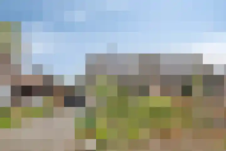 Koekoeksweg 3 Dwingeloo thumbnail 23