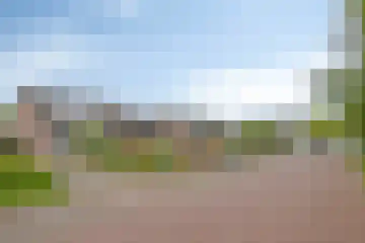 Koekoeksweg 3 Dwingeloo thumbnail 24