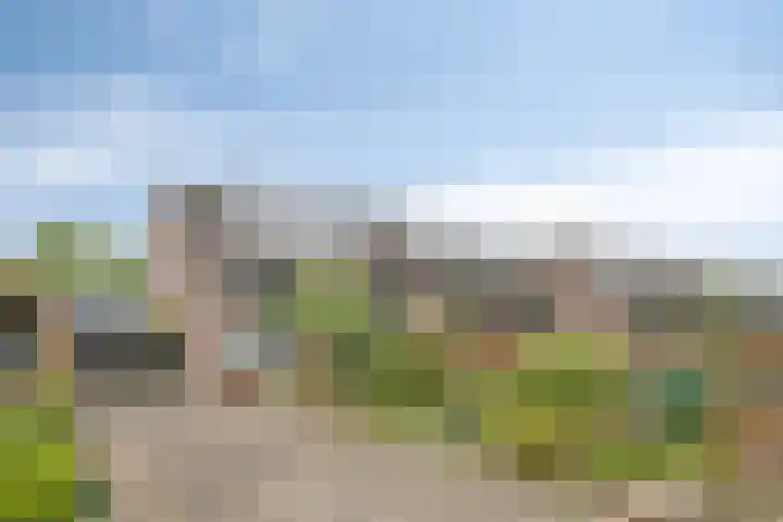 Koekoeksweg 3 Dwingeloo thumbnail 28