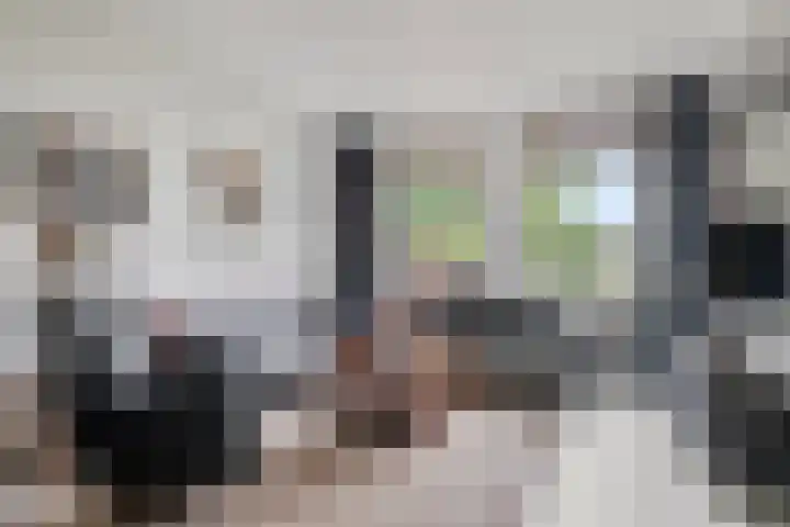 Koekoeksweg 3 Dwingeloo foto 3